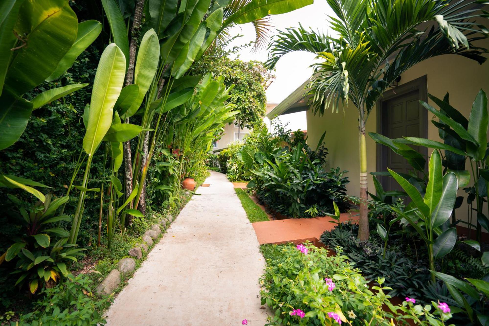 Hotel La Mariposa Nationalpark Nationalpark Manuel Antonio Exterior foto